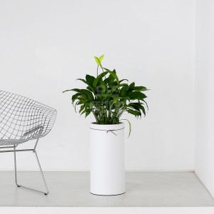 [B25]스파트필름